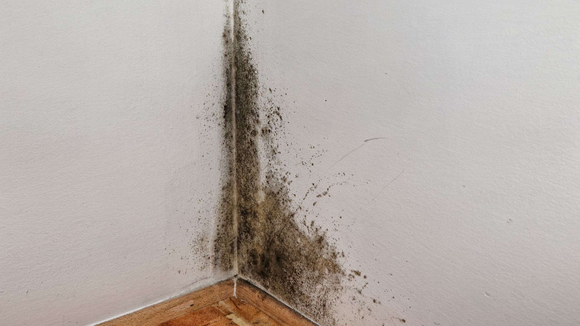 Apartment for rent in Poland Blog for Expats living in Poland